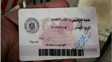 تحول رقمي.. تجديد رخصة السيارة إلكترونيًا يسرّع الخدمات الحكومية في مصر 2025